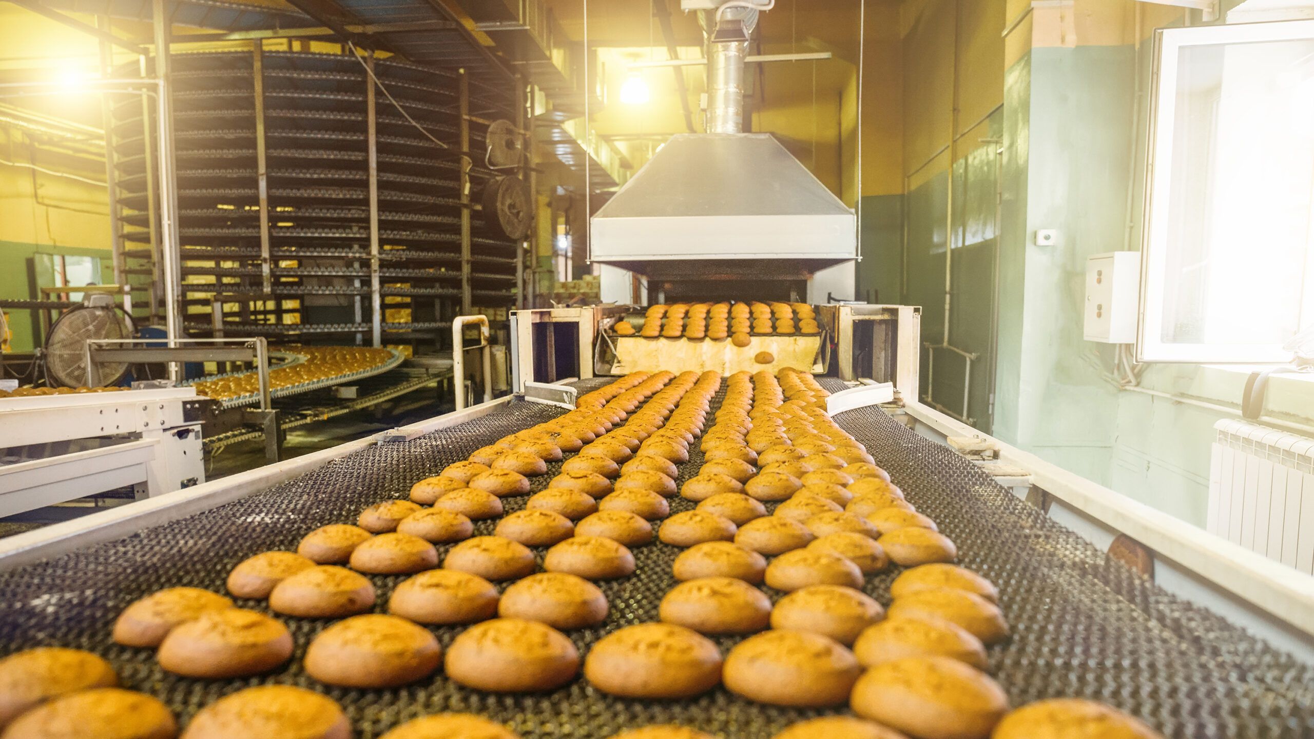 food manufacturing scaled Tynic Automation